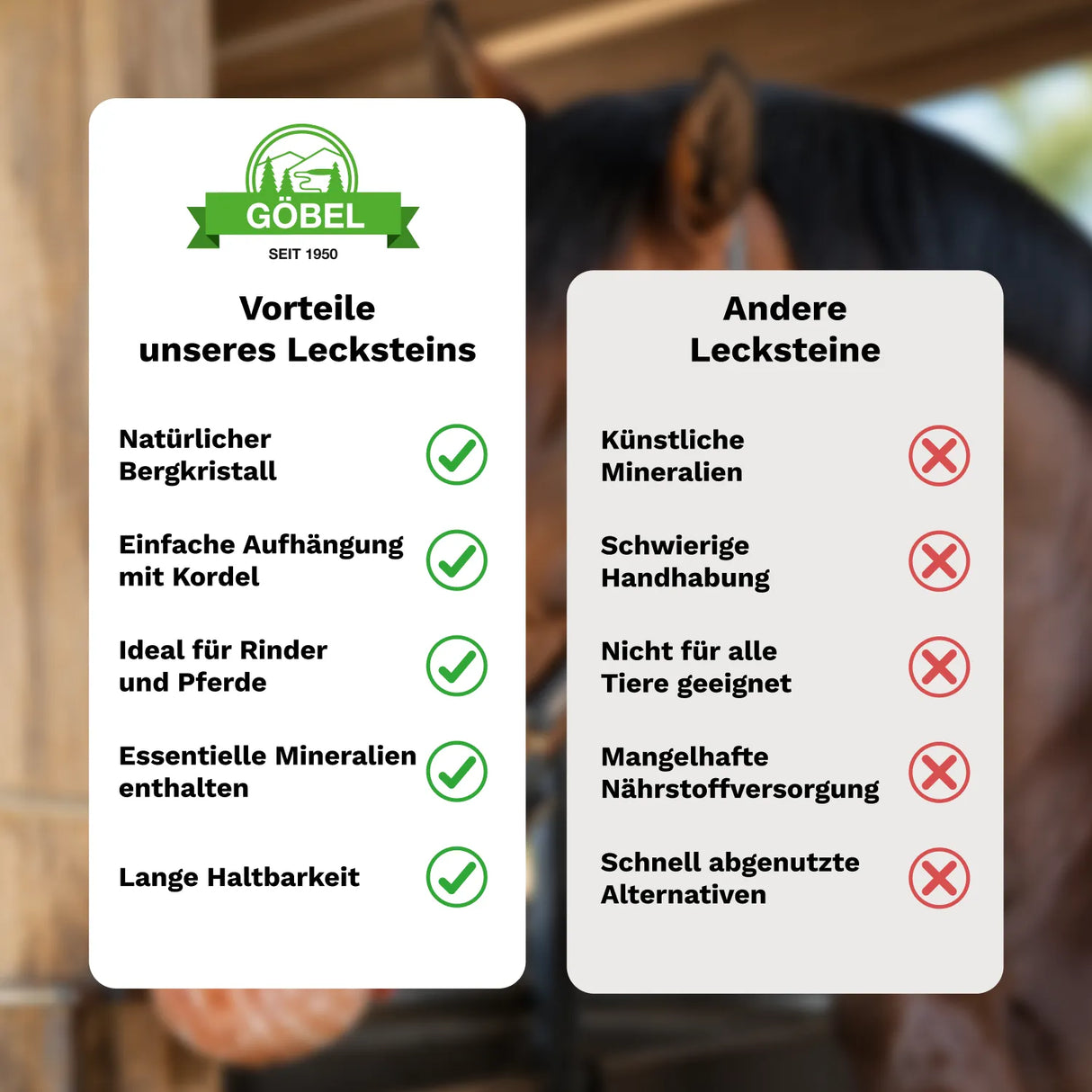 Salzleckstein »Himalaya« aus Bergkristall 2,5 kg · mit Kordel