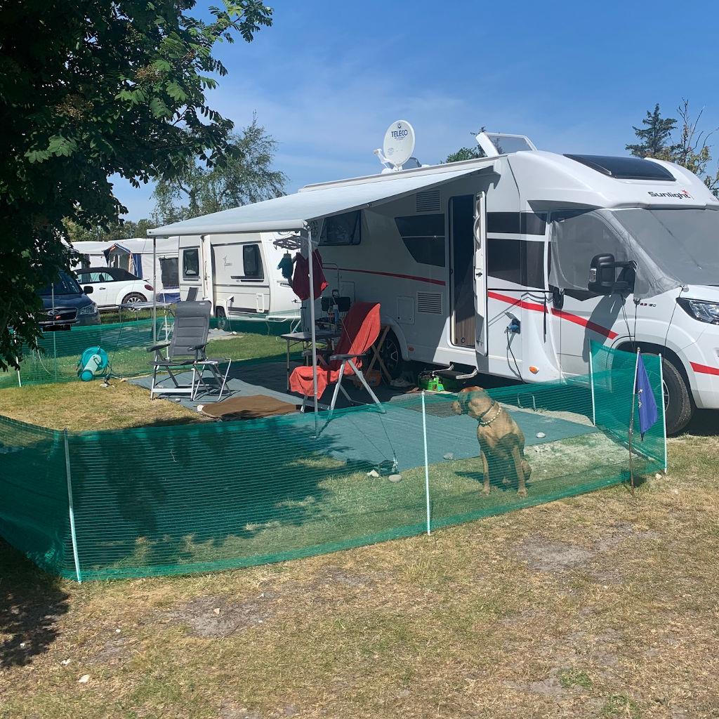 Absperrzaun »Deluxe« Universalnetz, stromlos · 20m, 80cm