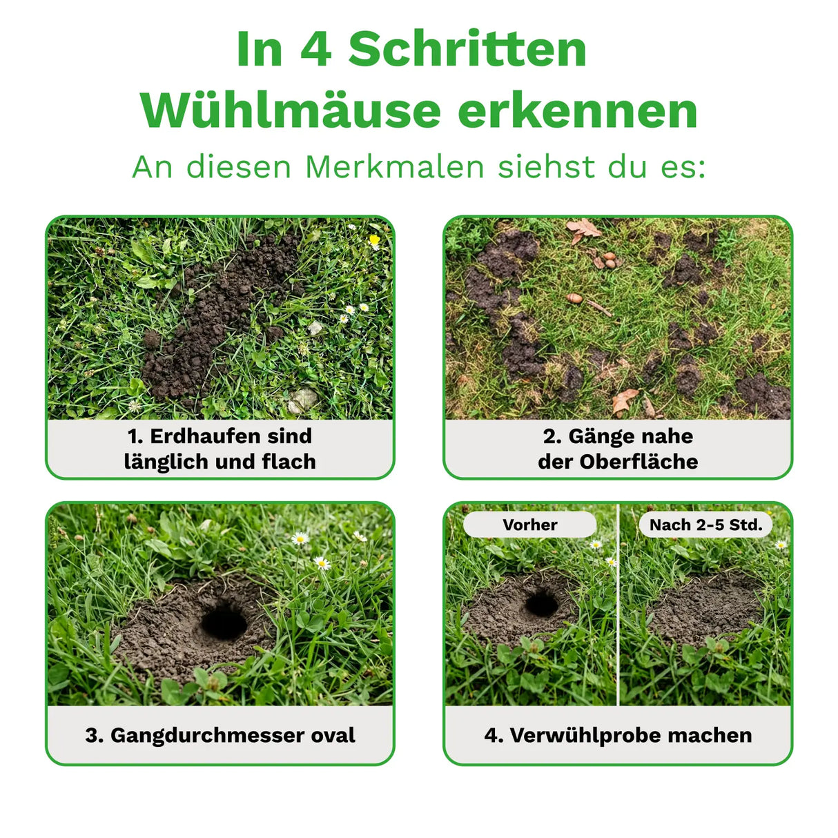 Wühlmausschussfalle »Classic« Wühlmausfalle