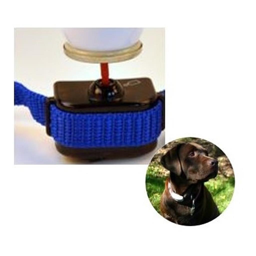 Antibellhalsband »PetSafe« Nachfüllpatrone · geruchlos