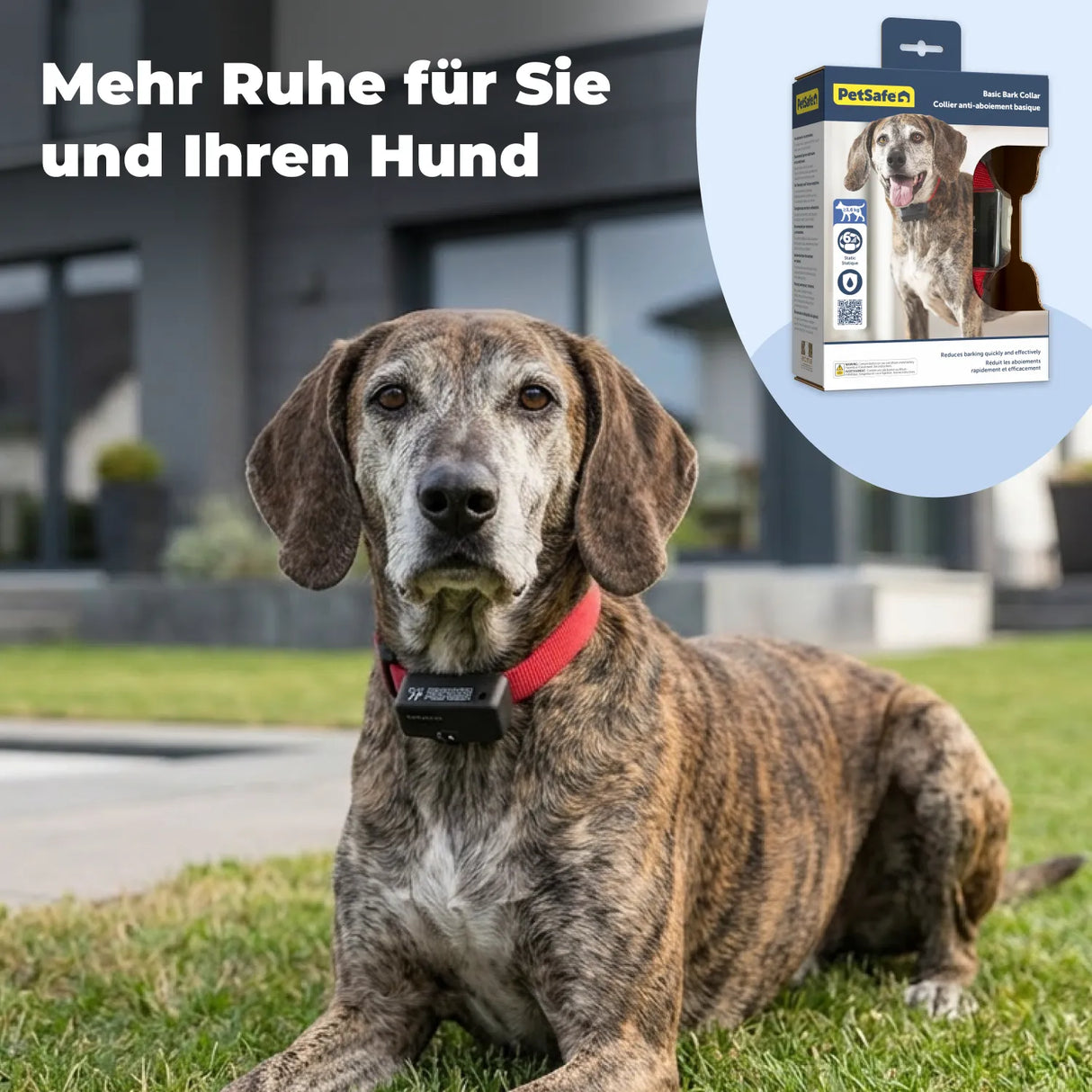 Antibellhalsband »Basic« PetSafe Stromhalsband · ab 3,6kg