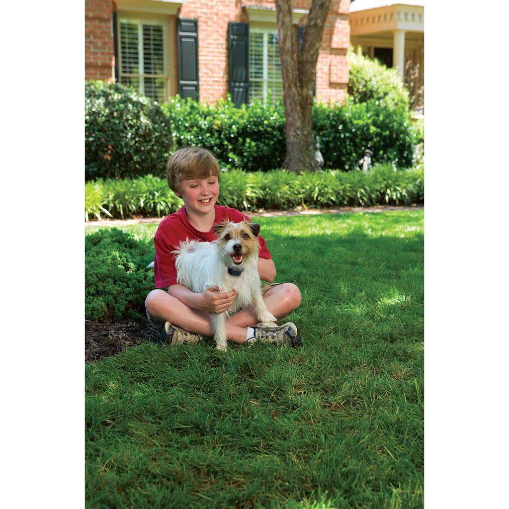 Antibellhalsband »Small Dog« Antibellhalsband · bis 26kg