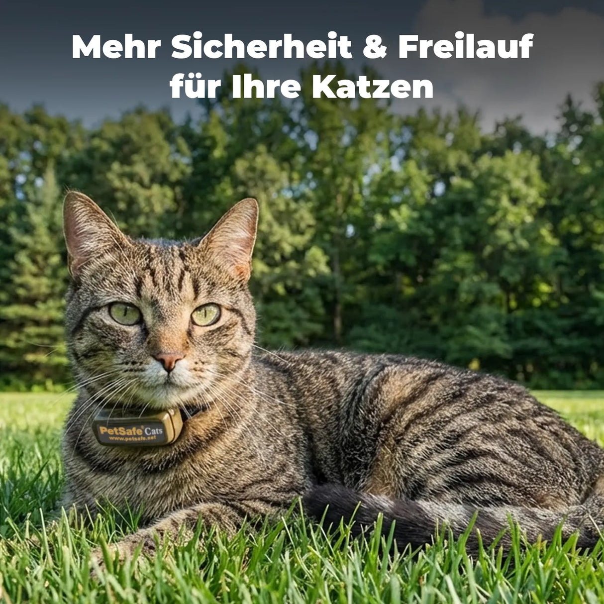 Unsichtbarer Katzenzaun »Pet Safe« Zusatz Katzenhalsband · 54g