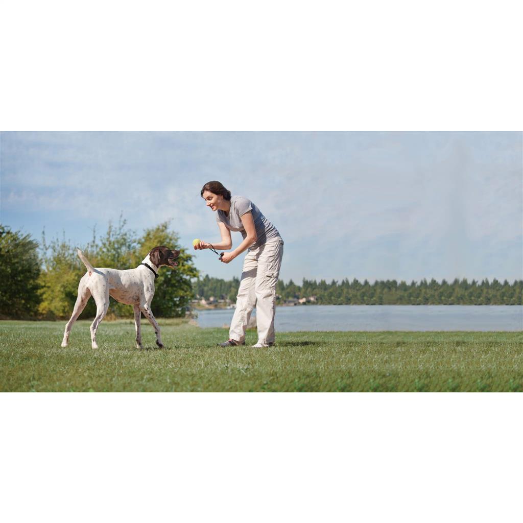 Ferntrainer »Deluxe« PetSafe Erziehungshalsband · 900m, ab 3,6kg