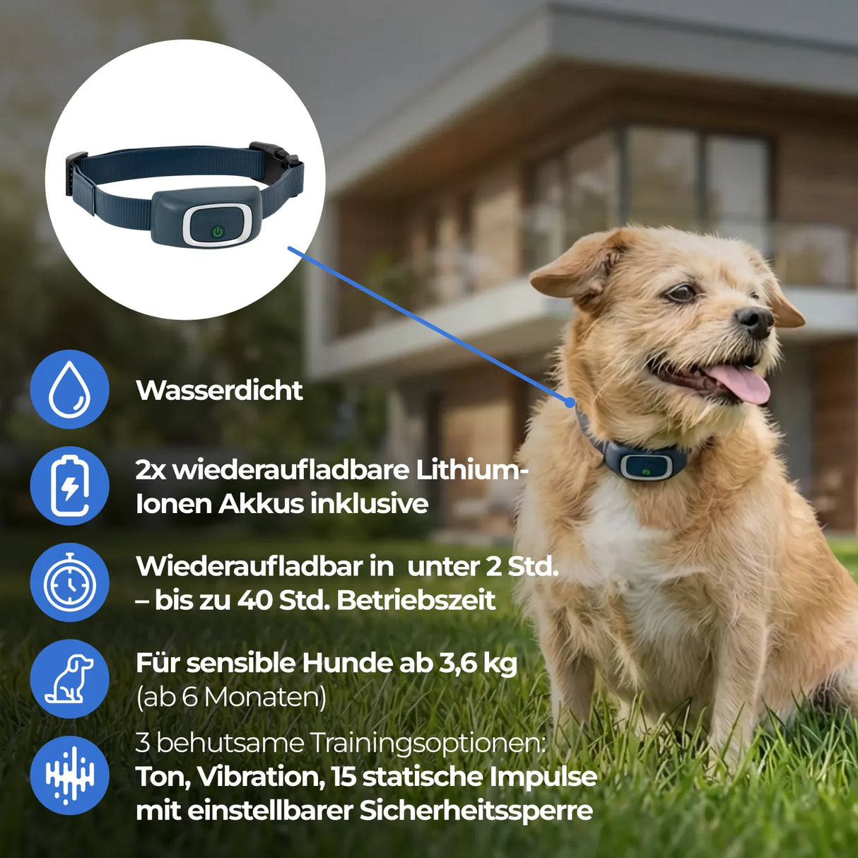 Ferntrainer »Lite« PetSafe Erziehung für sensible Hunde · 300m, ab 3,6kg