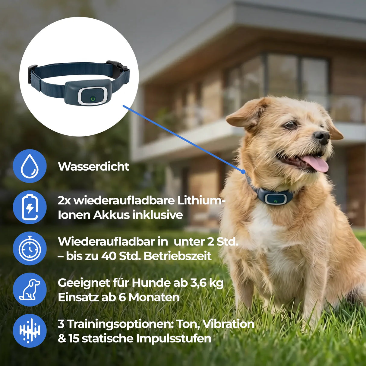 Ferntrainer »Standard« PetSafe Hundeerziehung · 900m, ab 3,6kg