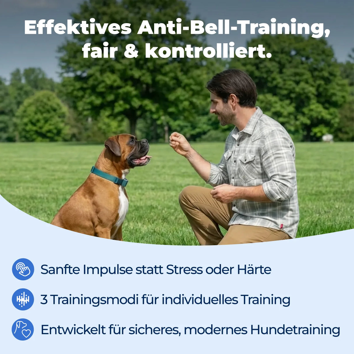 Ferntrainer »Spray Deluxe« PetSafe Sprayhalsband · 300m