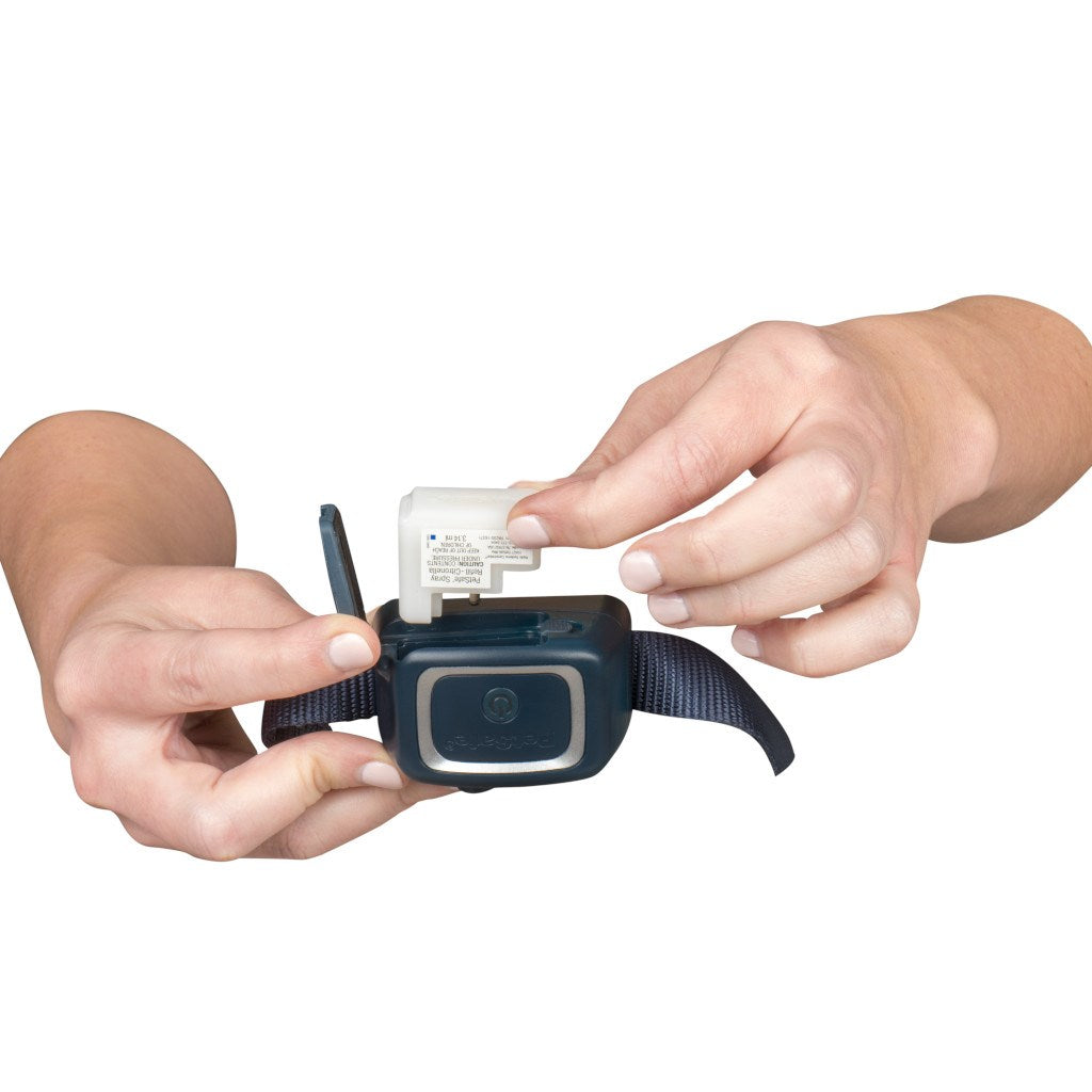 Ferntrainer »Spray Deluxe« PetSafe Sprayhalsband · 300m