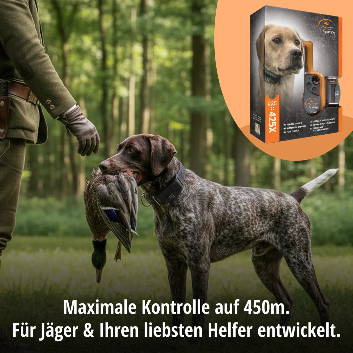 Teletac »sportDog« Handgerät & Halsband · 450m, 7-stufig