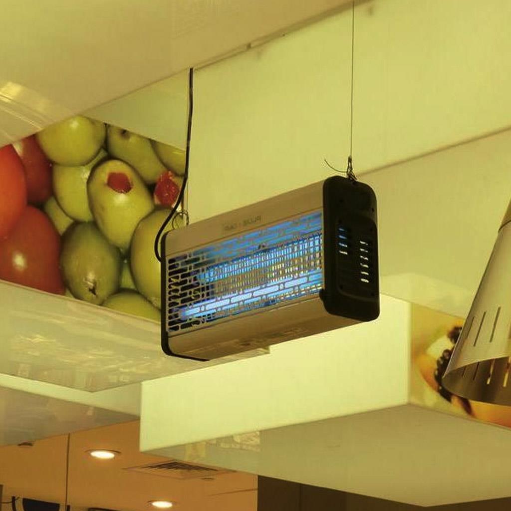 Insekten Vernichter »Eurokill 80+« Fliegenfalle · Edelstahl, 80 Watt, bruchsicher