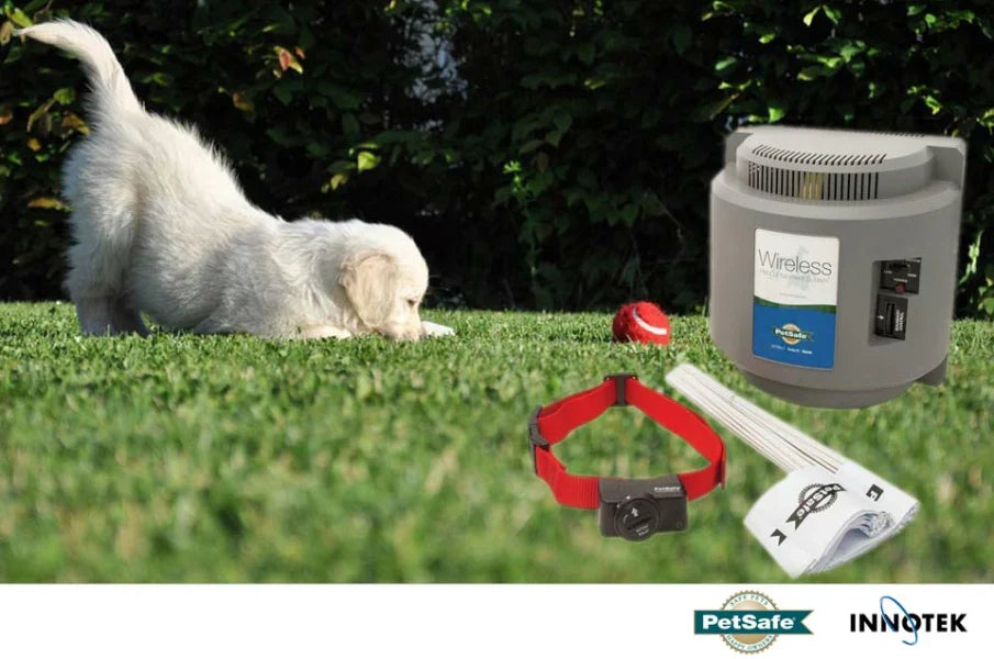 Unsichtbarer Hundezaun - Funktion, Aufbau, Übersicht & Vergleich