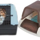 Toillette / Transport