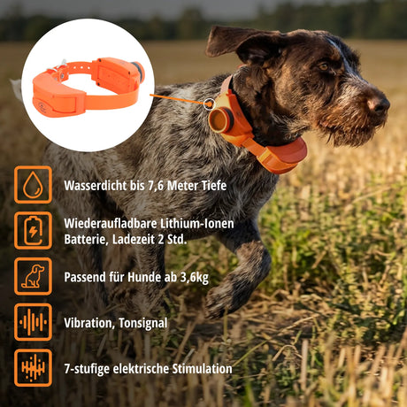 Teletakt »sportDOG« Erziehungshalsband zu SD-1875E · 7-stufig, Beeper