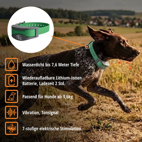 Teletac »sportDOG« Erziehungshalsband · 16-stufig