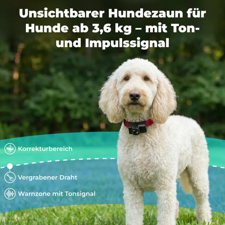Unsichtbarer Hundezaun »Classic« erweiterbar auf 4ha · bis 18kg