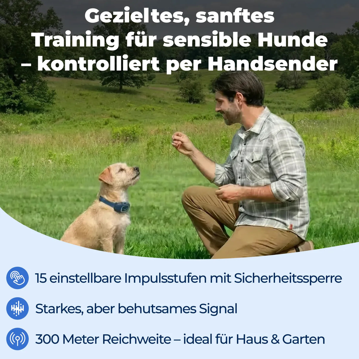 Ferntrainer »Lite« PetSafe Erziehung für sensible Hunde · 300m, ab 3,6kg