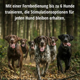 Teletac »sportDog« Handgerät & Halsband · 1,6km, 16-stufig