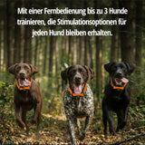 Teletakt »sportDog« Handgerät, Halsband, Beeper · 1,6km, 7-stufig