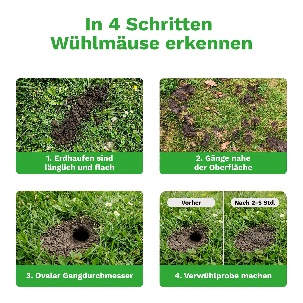 Wühlmausschussgerät »Set« Schussfalle inkl. 50 Platzpatronen