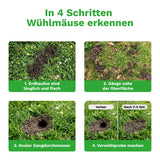 Wühlmausschussgerät »Set« Schussfalle inkl. 50 Platzpatronen