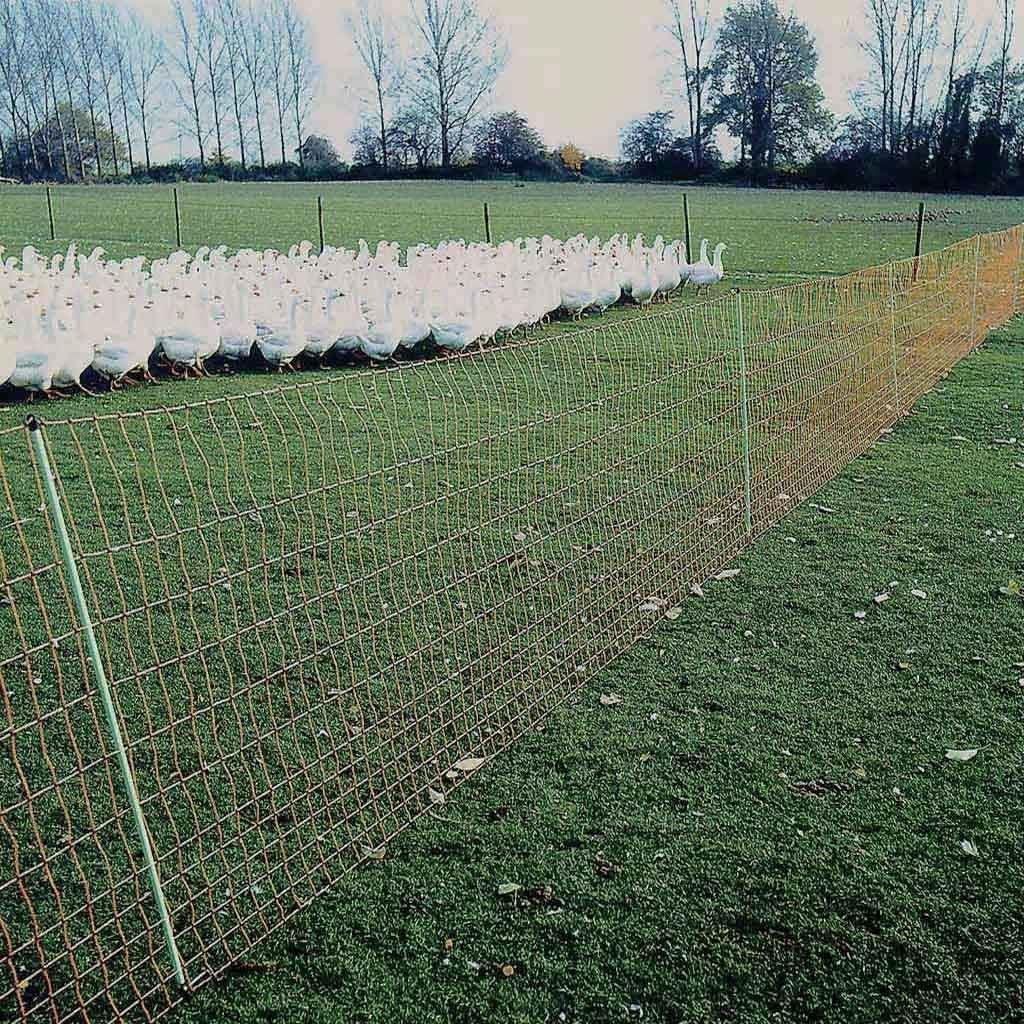 Geflügelzaun »Euronetz« Elektro Hühnernetz · 25m-50m, 112cm