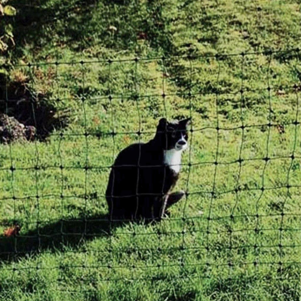 Katzengehege Katzennetz »Euronetz« 25m 1 Spitze, 75cm