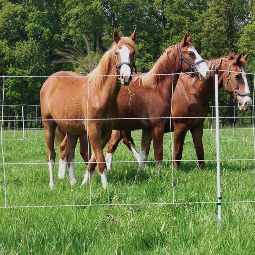 Pferdenetz »Euronetz« Weidenetze · 30m 2 Spitzen, 120cm