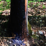 Buchenholzteer »Classic« Hufpflege, Strahlfäule · 1kg - 25kg