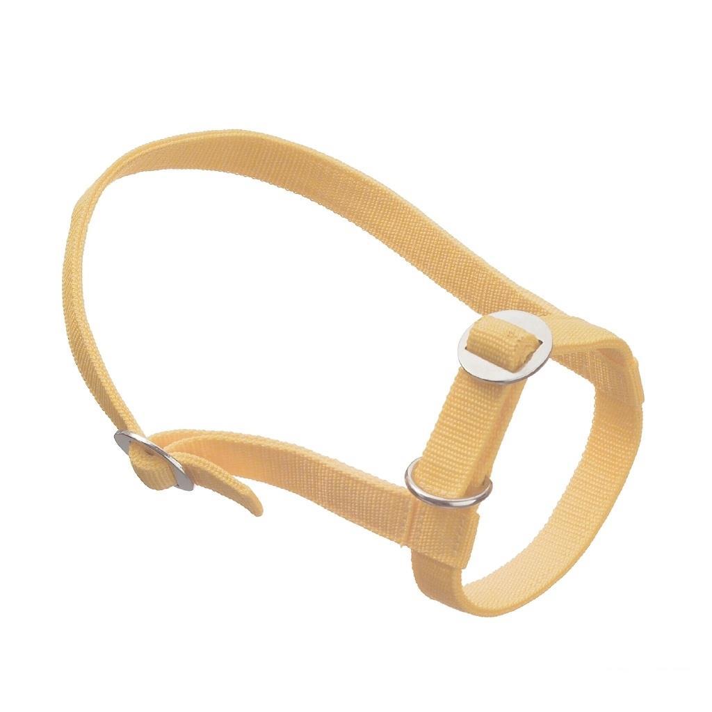 Kälberhalfter »Teen« zum Führen & Anbinden