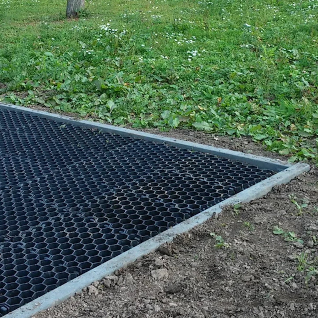 100x Paddockplatten »Rasenwaben« zur Befestigung · 50x40cm