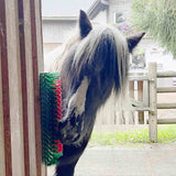 Kratzbürste »Universal« Viehbürste für Fellreinigung · halbrund