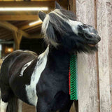 Kratzbürste »Universal« Viehbürste für Fellreinigung · halbrund