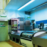 Fliegenfalle »Flytrap FT 40« Insektenfalle für Hygienestandard