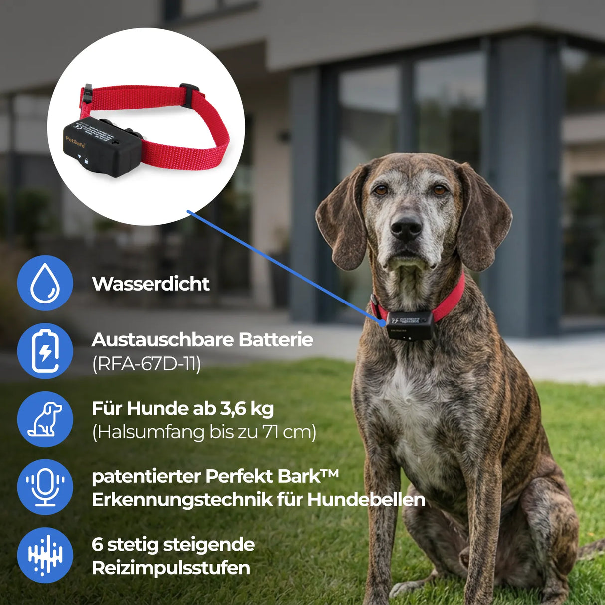 Antibellhalsband »Basic« PetSafe Stromhalsband · ab 3,6kg