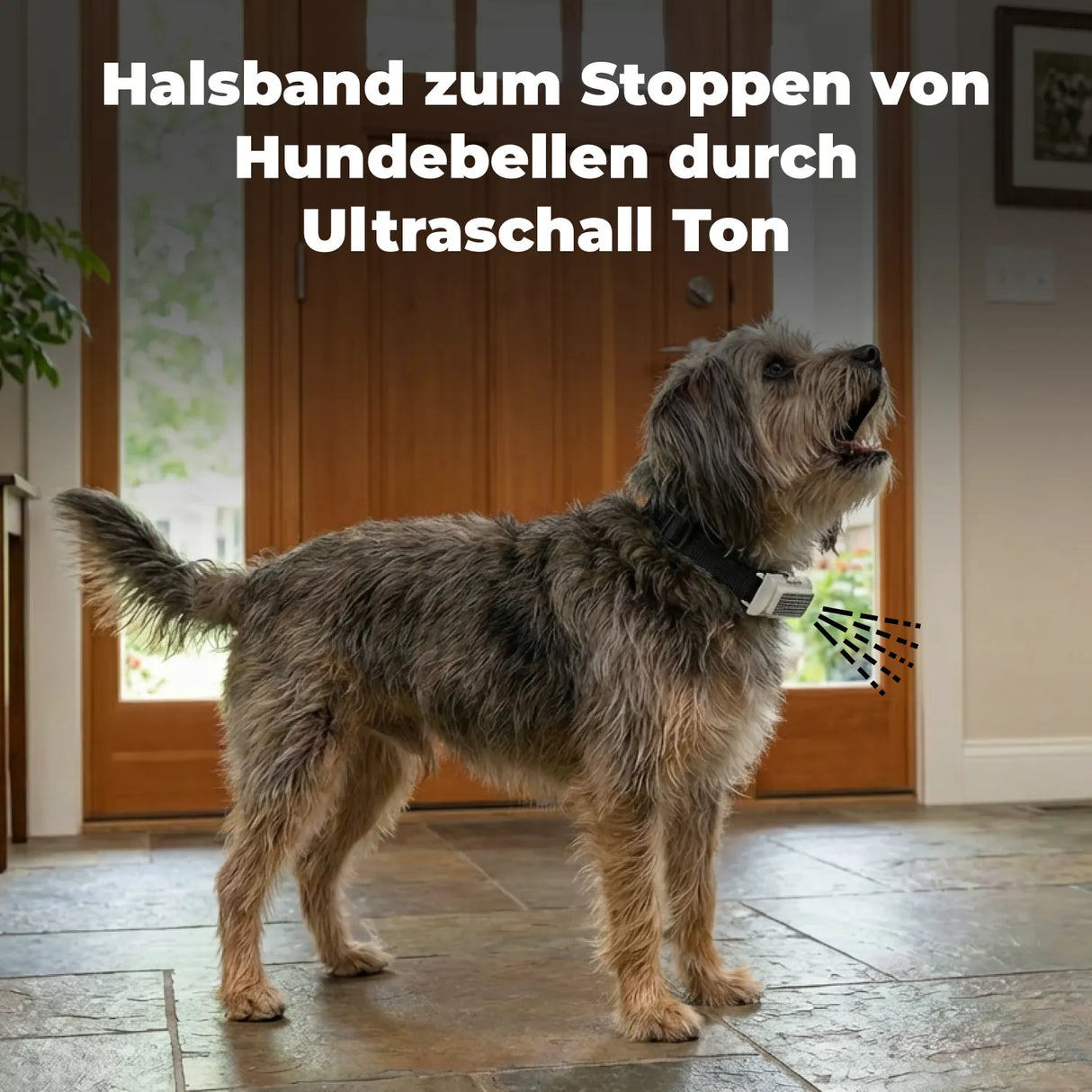 Anti Bell Halsband »Basic« PetSafe Ultraschall Halsband