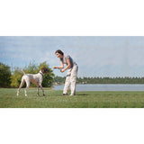 Ferntrainer »Deluxe« PetSafe Erziehungshalsband · 900m, ab 3,6kg