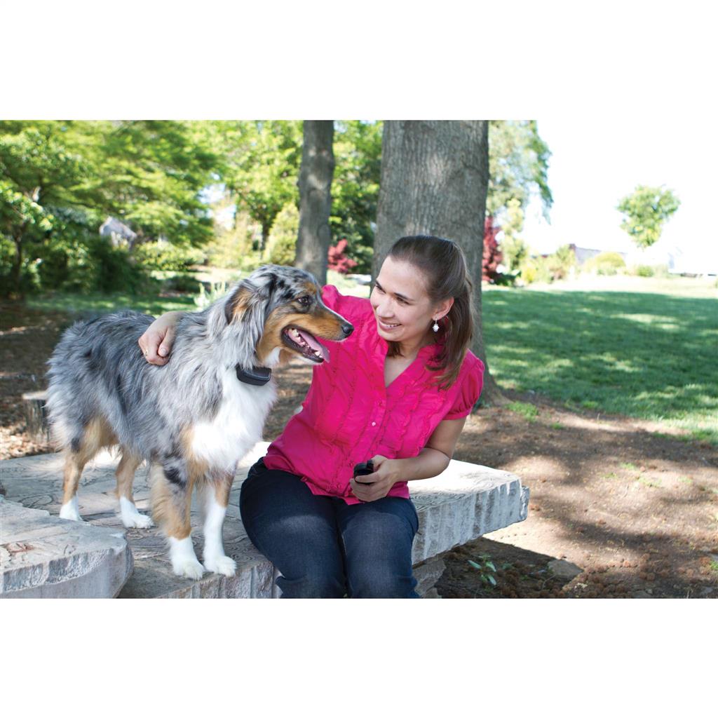 Ferntrainer »Basic« PetSafe Vibrationshalsband · 100m