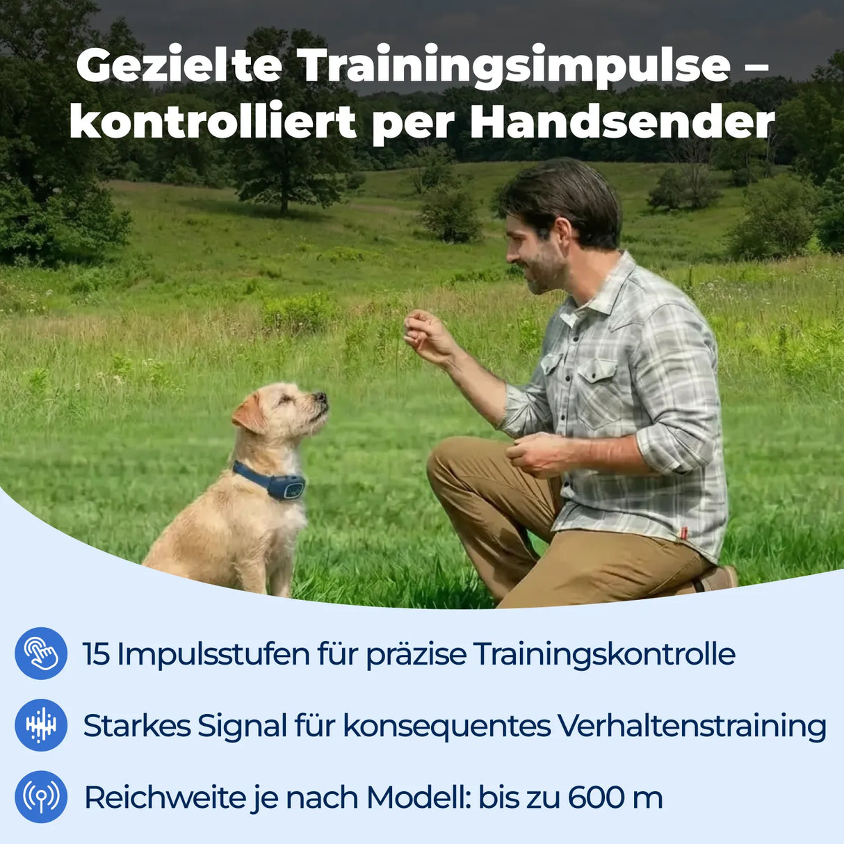 Ferntrainer »Standard« PetSafe Hundeerziehung · 600m, ab 3,6kg