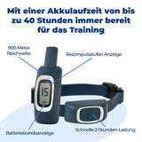Ferntrainer »Standard« PetSafe Hundeerziehung · 900m, ab 3,6kg