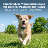 Ferntrainer »Standard« PetSafe Hundeerziehung · 900m, ab 3,6kg