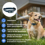 Ferntrainer »Standard« PetSafe Hundeerziehung · 900m, ab 3,6kg