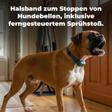 Ferntrainer »Spray Deluxe« PetSafe Sprayhalsband · 300m