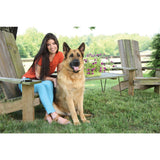 Fern Trainer »Basic« PetSafe Hundeerziehung · 70m, ab 3,6kg