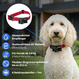 Unsichtbarer Hundezaun 27,5m Radius »Drahtlos Comfort« · ab 3,6kg