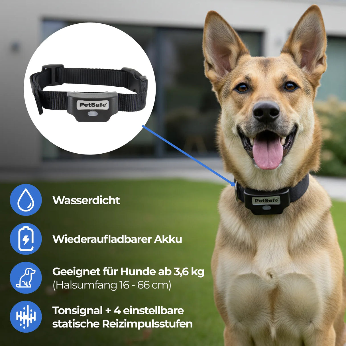 Unsichtbarer Zaun »PetSafe« für Hunde & Katzen Elektrozaun · ab 3,6kg