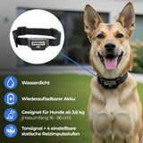 Unsichtbarer Zaun »PetSafe« für Hunde & Katzen Elektrozaun · ab 3,6kg