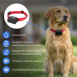 Unsichtbarer Hundezaun »Super« erweiterbar auf 4ha · ab 18kg