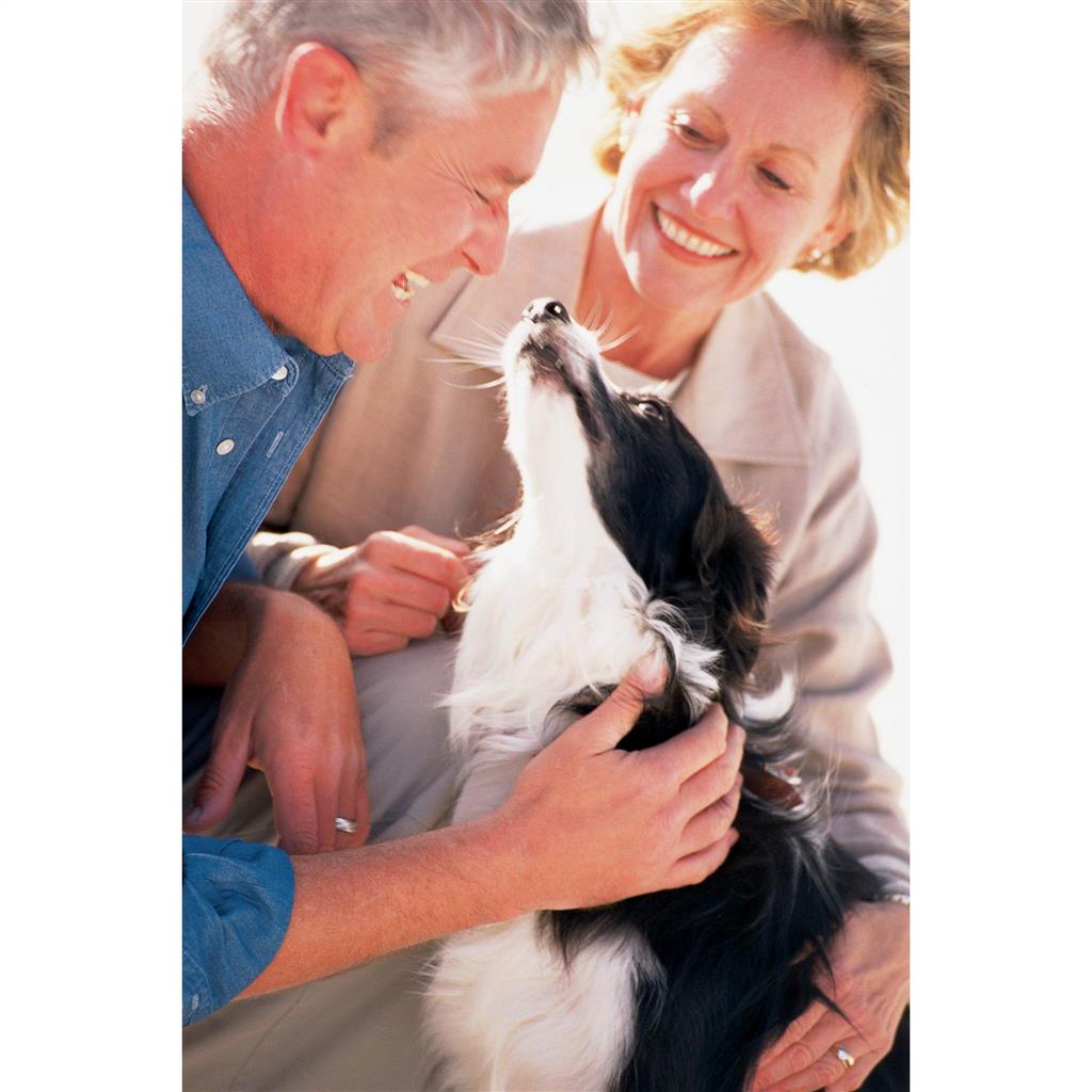 Ferntrainer »Basic« PetSafe Ultraschall Hundeerziehung · 9m