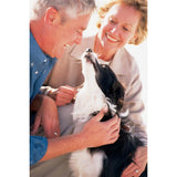 Ferntrainer »Basic« PetSafe Ultraschall Hundeerziehung · 9m