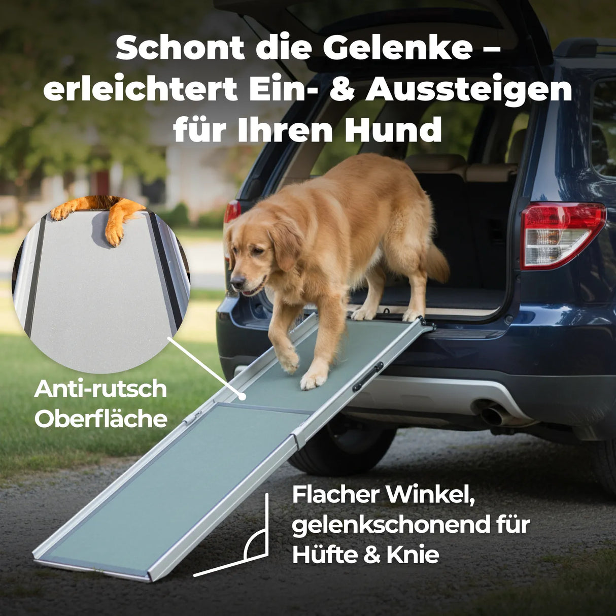 Hunderampe Deluxe »Teleskop« Extra lang 221cm · bis 136kg